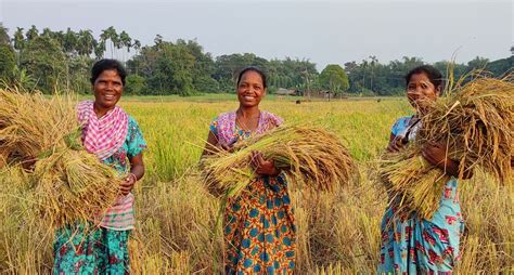 Tribal woman ushers in organic farming in India’s last village