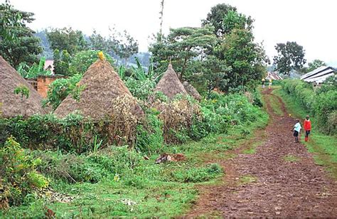 Village Houses photo, Kenya Africa