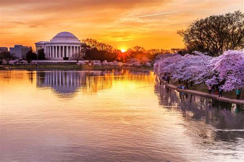 How to Enjoy the National Cherry Blossom Festival in Washington, DC