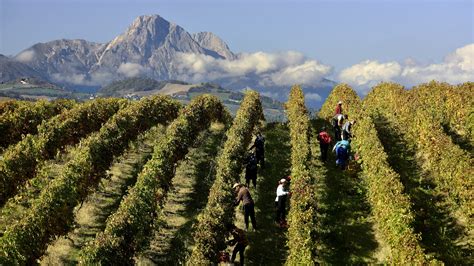 Abruzzo Wine Experience: il punto sui vini d’Abruzzo – VINODABERE ...