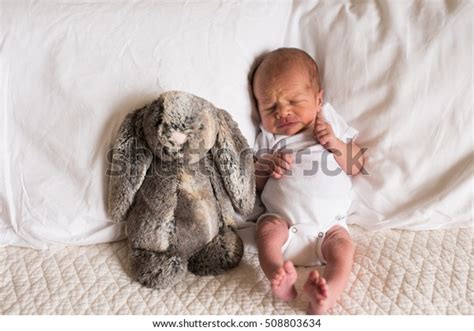 Newborn Baby Boy Poses Toy First Stock Photo 508803634 | Shutterstock