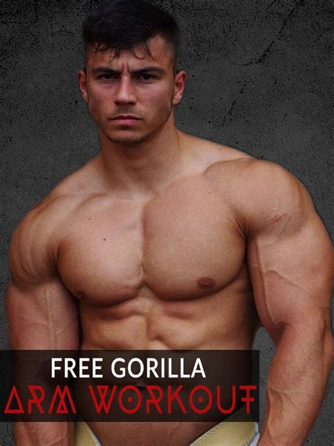 Free Gorilla Arm Workout PDF | PDF