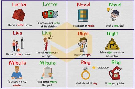 100+ Common Examples of Homographs in English • 7ESL