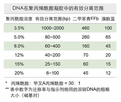 电泳过程中DNA在聚丙烯酰胺凝胶中的分离范围-郑州博邦科贸有限公司