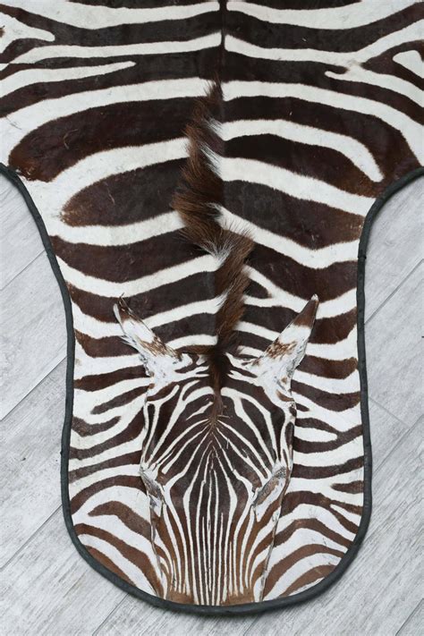 Genuine Zebra Skin Rug at 1stdibs