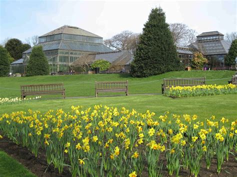 Glasgow Botanic Gardens