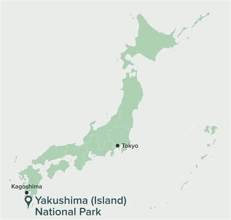 Yakushima (Island) National Park | National Parks of Japan