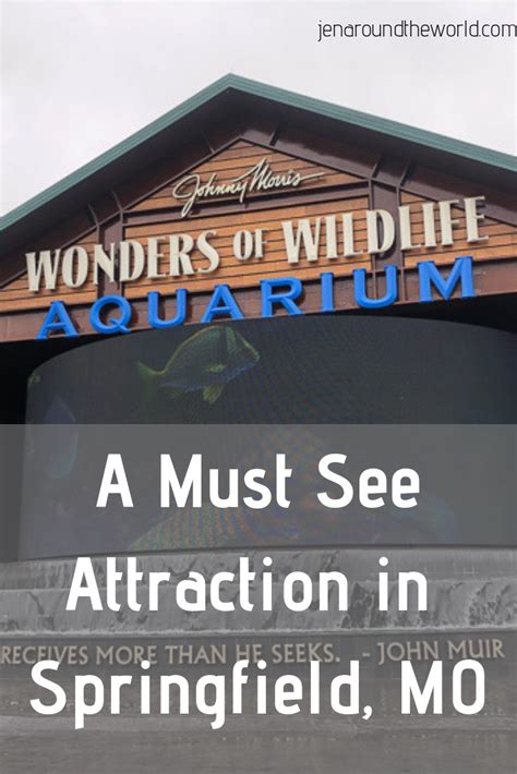 Wonders of Wildlife Museum Springfield MO - Jen Around the World