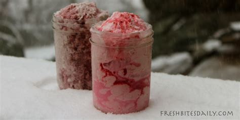 Try some snow ice cream before winter comes to an end – Fresh Bites Daily