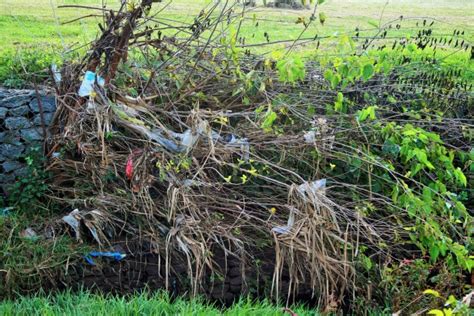 Pollution With Plastic Packets Free Stock Photo - Public Domain Pictures