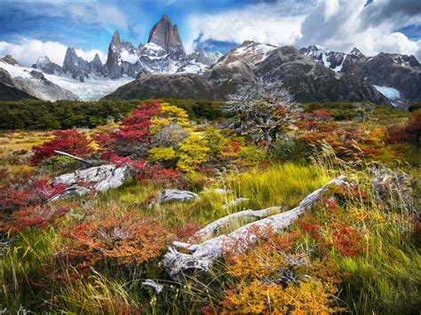 The world’s best fall foliage destinations | DK US