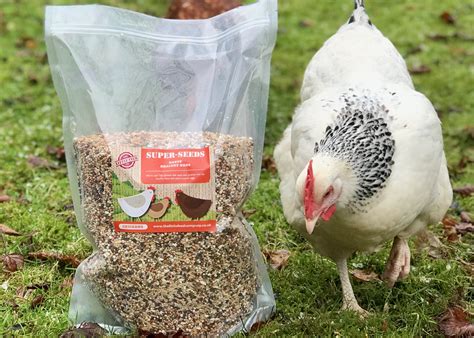 Chicken Super Seeds - Nutrititious Treat for Hens - The Little Feed Company