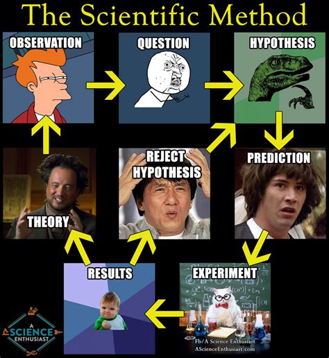 Steps of the Scientific Method | Science memes, Funny science jokes, Biology memes