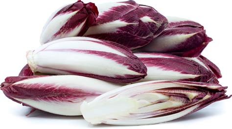 Red Belgian Endive Information, Recipes and Facts