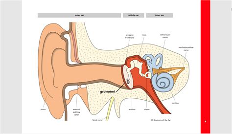 Treatment options — ent4kids