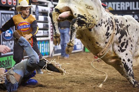 Thoughts From My Camera: Professional Bull Riding at MSG - Buckoff