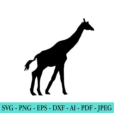 Giraffe SVG, Giraffe Silhouette, Digital Clipart, Vector Graphics, Cut ...