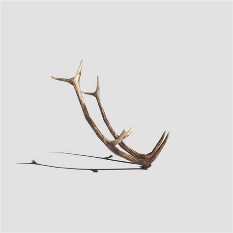 Antlers 3D Model $5 - .unknown .dae .fbx .obj .blend - Free3D