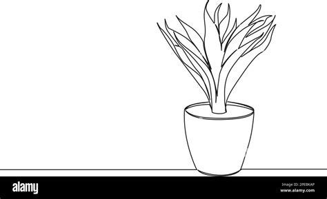 continuous single line drawing of potted plant, line art vector illustration Stock Vector Image ...