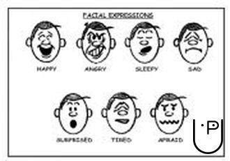 Facial Expressions In Non verbal Communication - UrbanPro