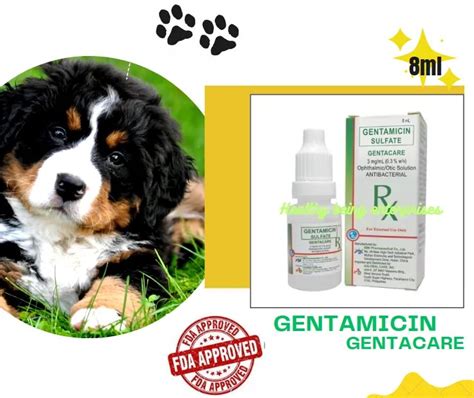 Gentamicin Gentago eye and ear drops solution, Pet Supplies, Health ...