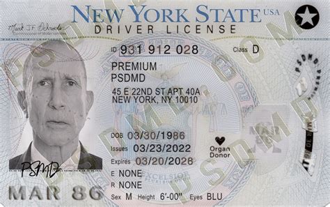 New York (NY) – Drivers License PSD Template Download 2023 V2 – Templates us driver DL