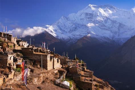 Annapurna II - Mountain Field Guide