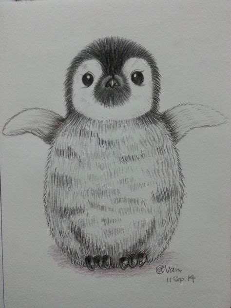 Pin by Karin Runhart on Drawing... | Pencil drawings of animals, Animal drawings sketches, Easy ...