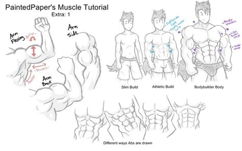 Big Muscles Tutorial - Extra by paintedpaper on DeviantArt | How to draw muscles, Drawing ...