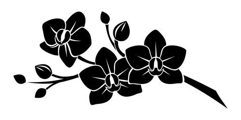 Free Orchid Clip Art Black And White, Download Free Orchid Clip Art Black And White png images ...