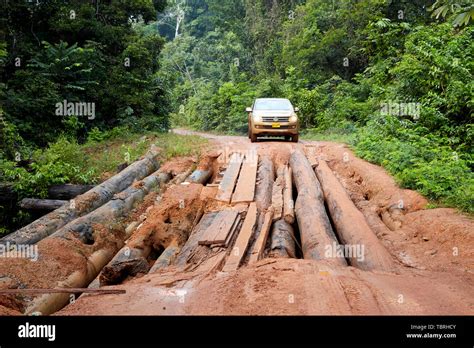 Volkswagen Amarok car pickup truck attempting to drive on Log Wooden ...