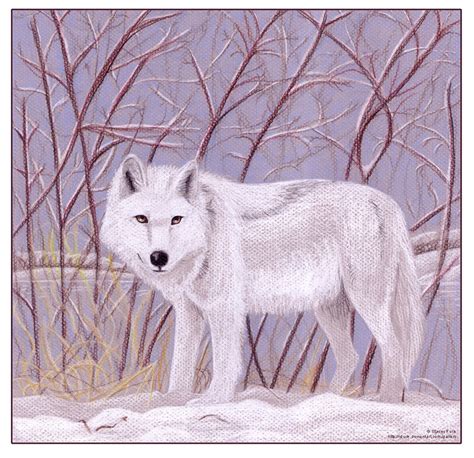 Winter Wolf by iduck on DeviantArt