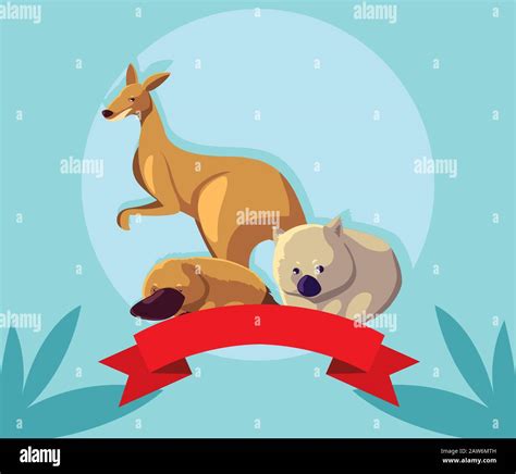 cute card with native animals of australia vector illustration design Stock Vector Image & Art ...