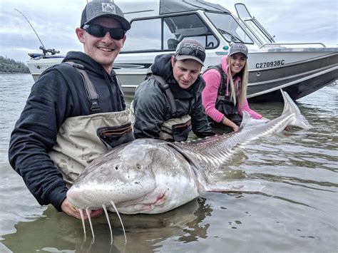 Fraser River Sturgeon Fishing | Best Season to Fish, Tips, Spots and Gear