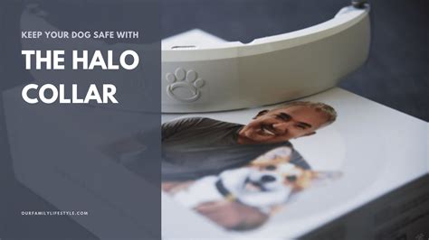 Keep Your Dog Safe with The Halo Collar by Cesar Millan