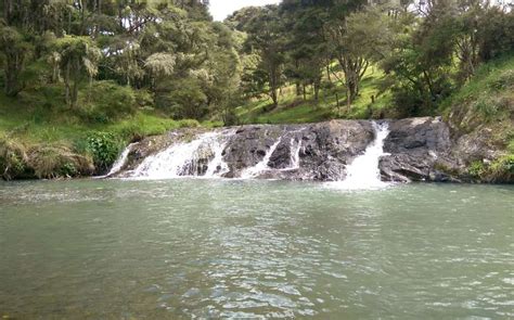 Discover the Breathtaking Waikato Waterfalls - WaikatoNZ