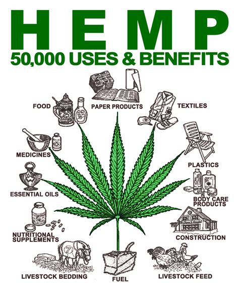 Why we need Hemp. - Janella Purcell