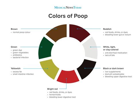 why is my poop green stool colors explained - pin on poop | poop color chart black - Juana Byrd