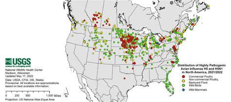 Avian Flu Outbreak 2022 | Eureka blog