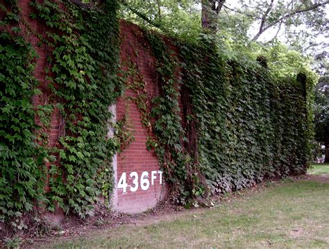 Forbes Field outfield wall, Pittsburgh | Forbes field, Forbes, Field