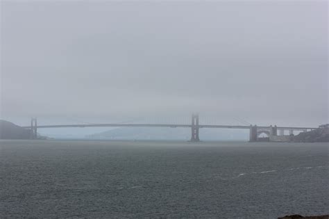 San Francisco Fog City | Travels with Birdy