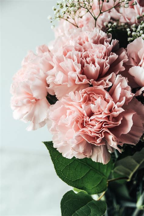 Abby Ingwersen's Portfolio - bloom | Flowers, Pretty flowers, Wedding flowers