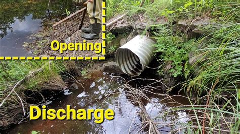 Unclogging Culvert Pipe Completely Plugged By Beavers. Camera 2 View - YouTube