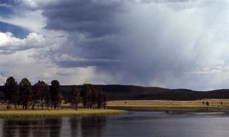 Hayden Valley, Yellowstone National Park - AllTrips