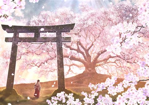 Cherry Blossom Tree Anime Gif X Wallpaper Teahub Io | My XXX Hot Girl