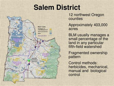 PPT - Salem District PowerPoint Presentation, free download - ID:1474547