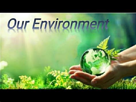 Our environment / PowerPoint presentation on our environment ...