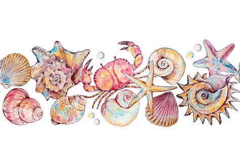 Premium Vector | Seamless border of watercolor seashells and underwater ...