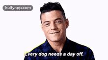 Dog Head Man GIFs | Tenor