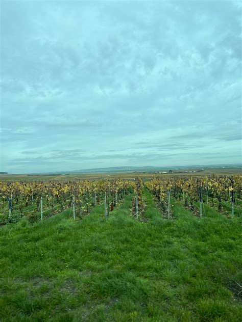 Reims Champagne Tour: A Two Day Trip - Harmonizing the Chaos